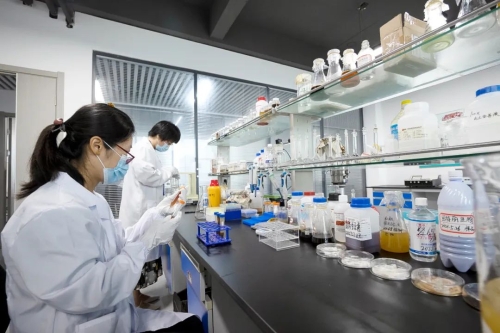 煙臺固特麗 生物科技引領農業高品質發展新路徑